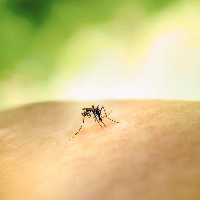 Repellenti per insetti