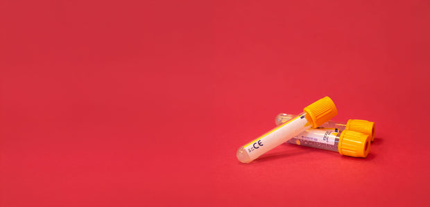 <h2>Servizi e prevenzione</h2>